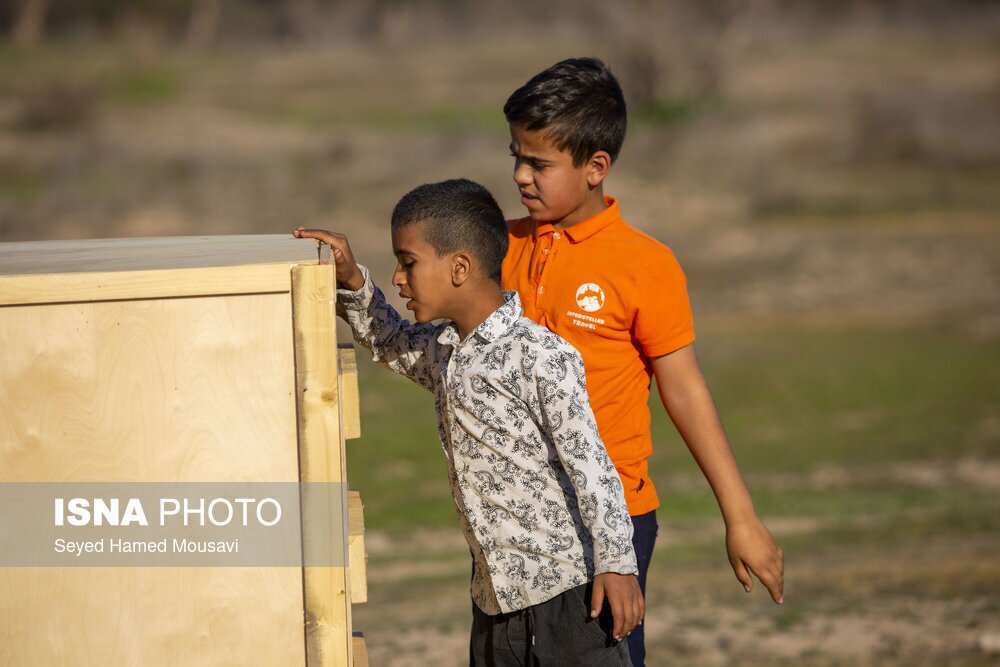 تصاویر: رهاسازی ۱۰ راس گوزن زرد ایرانی در پارک ملی دز