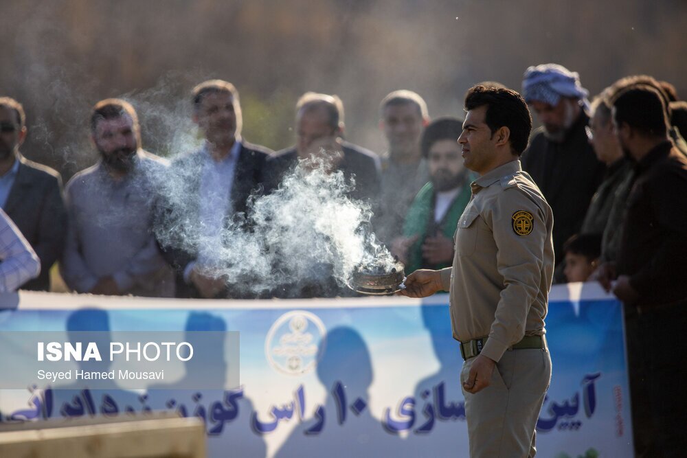تصاویر: رهاسازی ۱۰ راس گوزن زرد ایرانی در پارک ملی دز