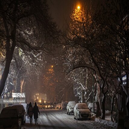 تصاویر: بارش برف در شمال تهران
