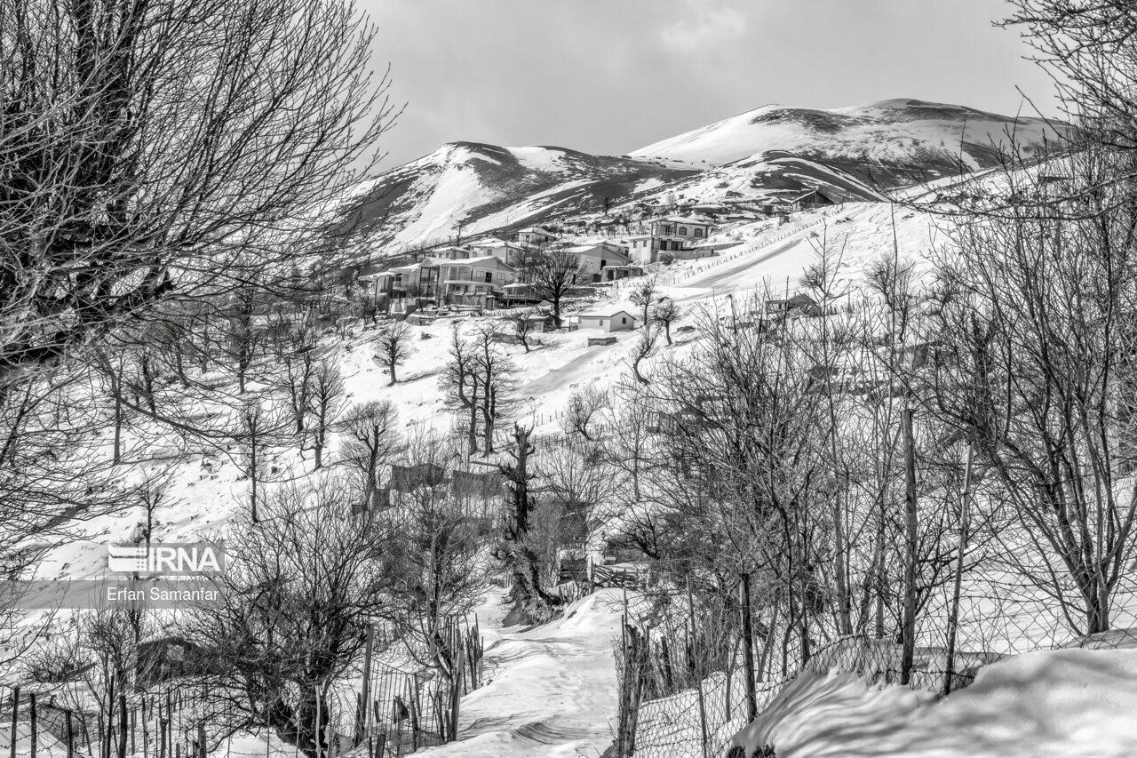 تصاویر: به سپیدی برف