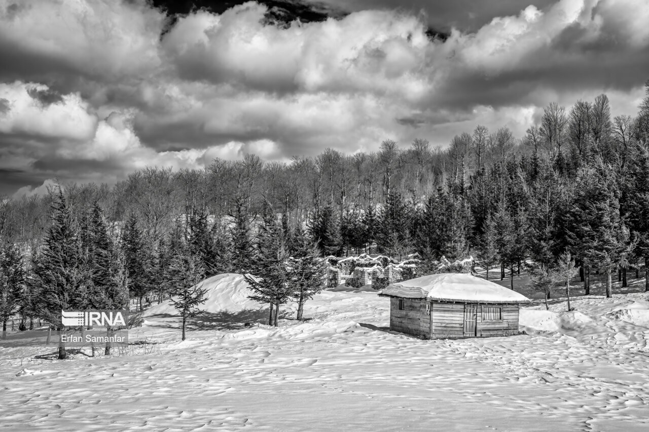 تصاویر: به سپیدی برف