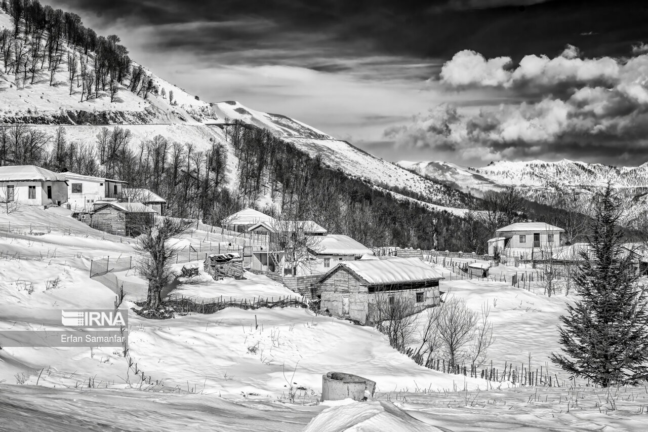 تصاویر: به سپیدی برف