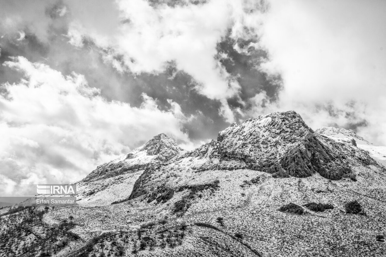 تصاویر: به سپیدی برف