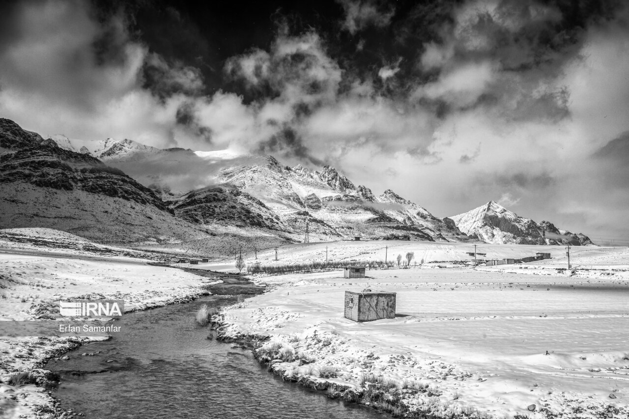 تصاویر: به سپیدی برف