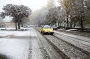 ویدیو / بارش برف در تهران