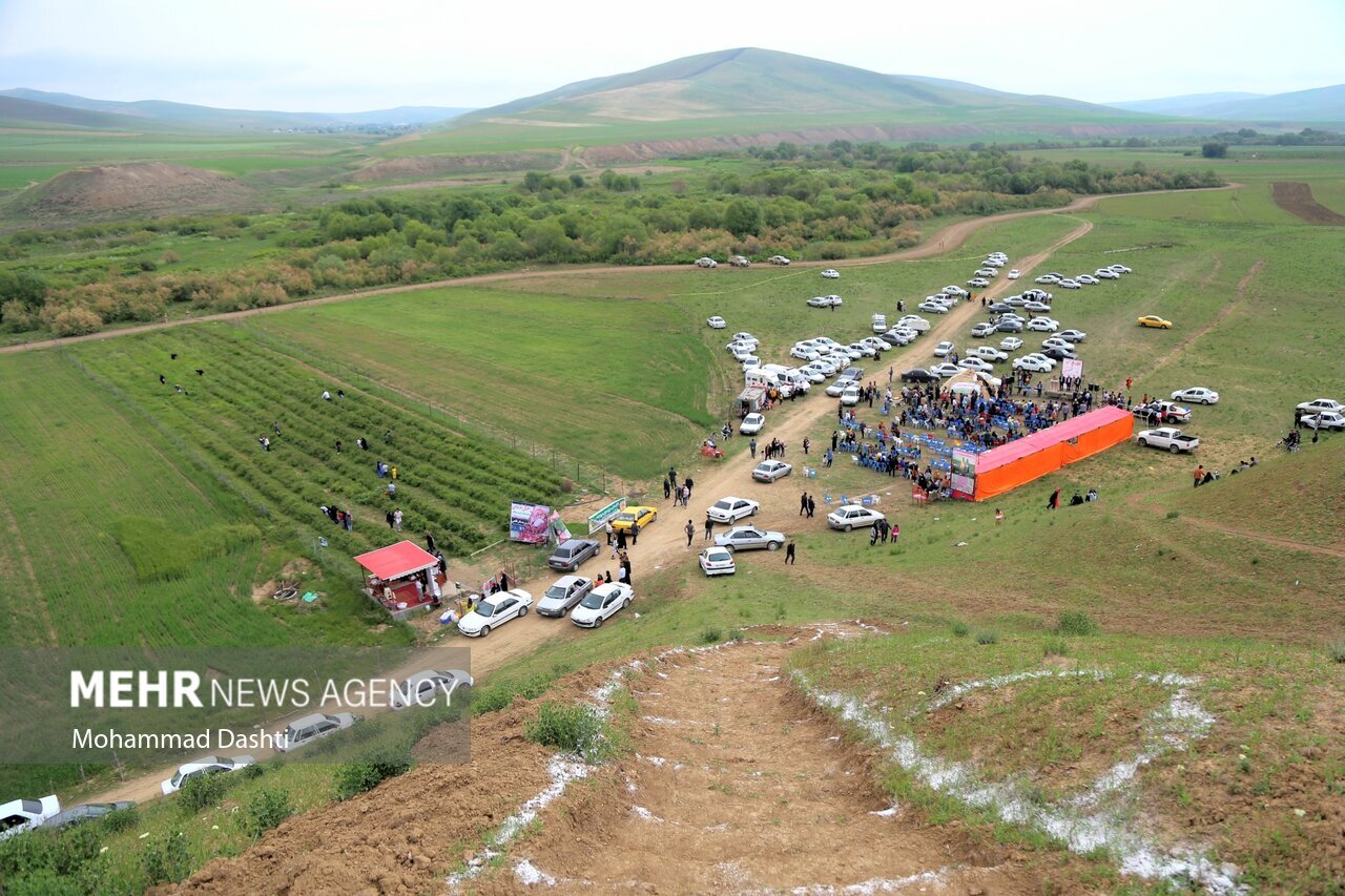 تصاویر: جشنواره گل و گلاب‌گیری شهرستان گرمی