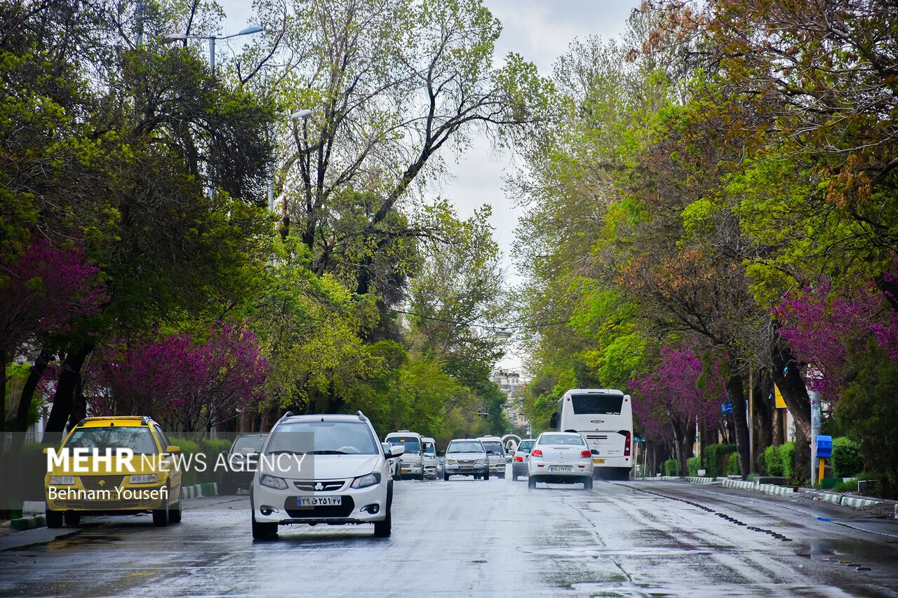 تصاویر: طراوت و زیبایی باران بهاری اراک
