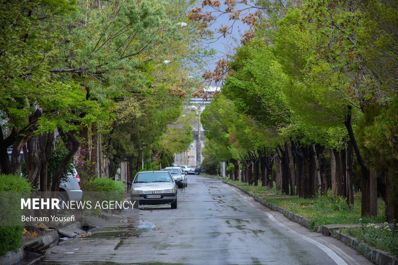 تصاویر: طراوت و زیبایی باران بهاری اراک