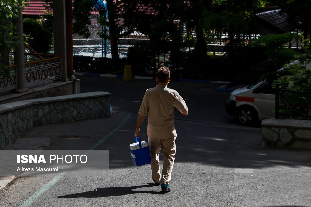 تصاویر: عمل اهدای عضو در بیمارستان مسیح دانشوری