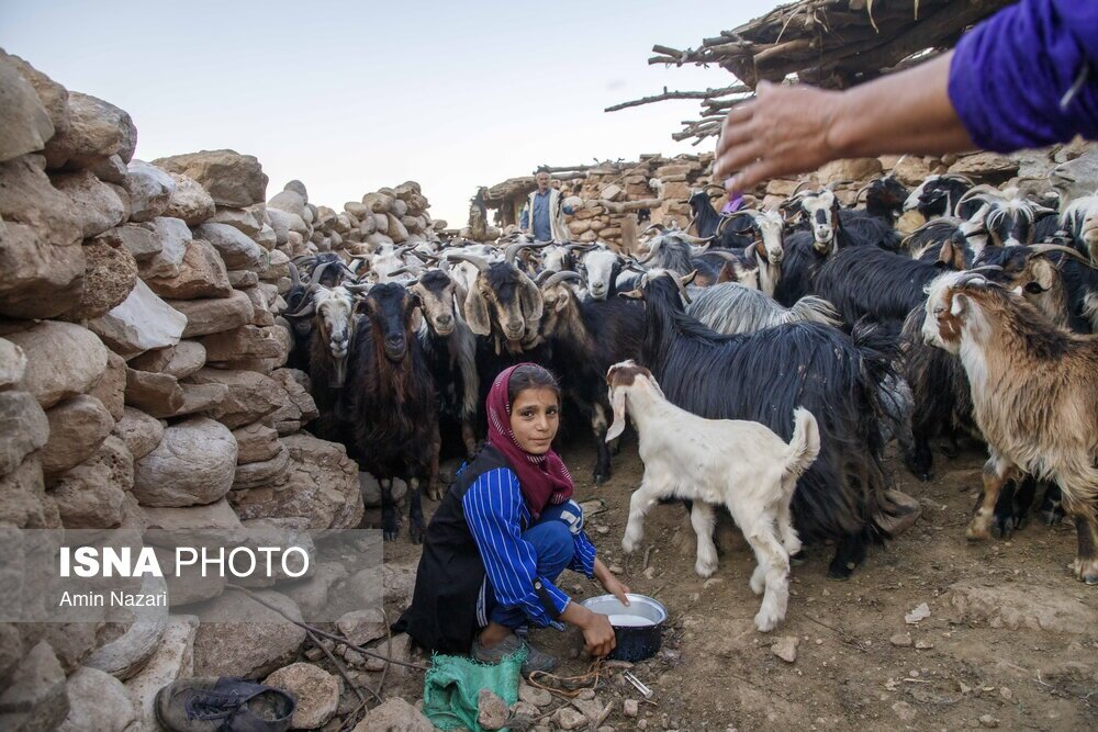 تصاویر: تنگه‌دز؛ در انتظار پل