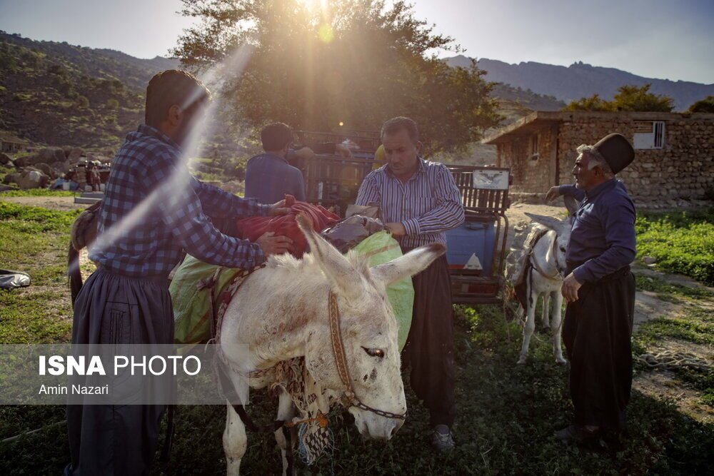 تصاویر: تنگه‌دز؛ در انتظار پل