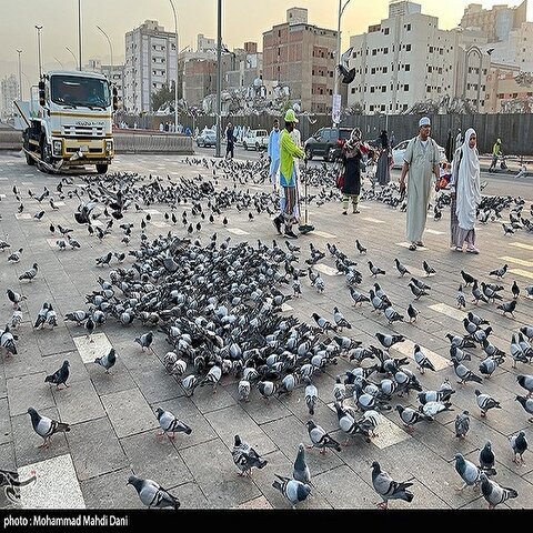 تصاویر کمتر دیده‌شده از اطراف مسجدالنبی