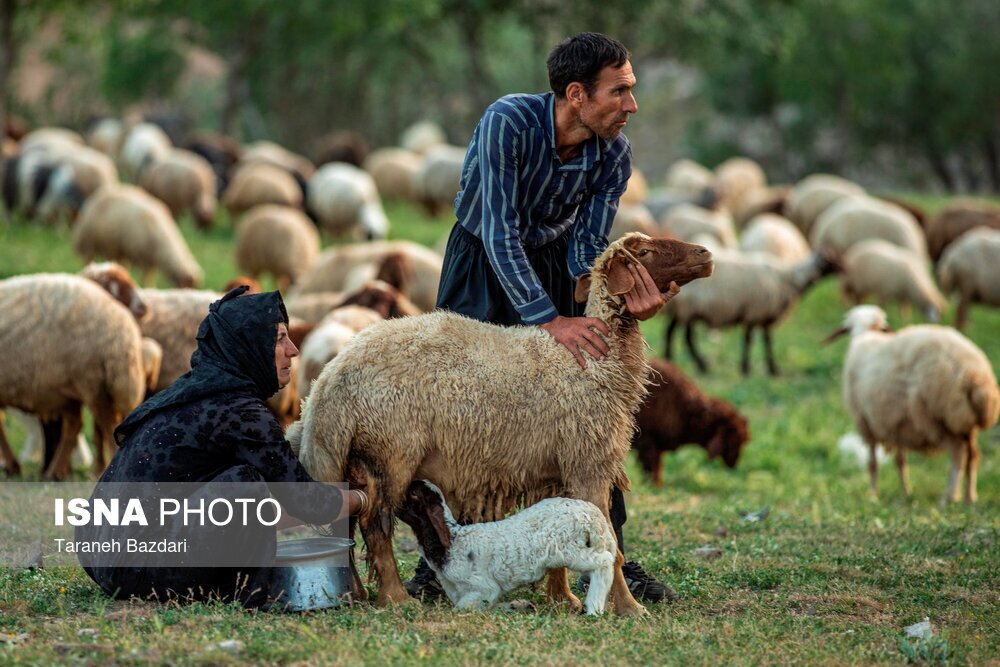 تصاویر: مردمانی سخت‌کوش با زندگی ساده و بی‌آلایش
