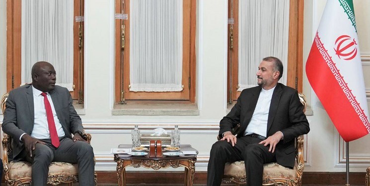 امیرعبداللهیان: توسعه روابط با کشورهای آفریقایی در دستورکار دولت است امیرعبداللهیان: توسعه روابط با کشورهای آفریقایی در دستورکار دولت است