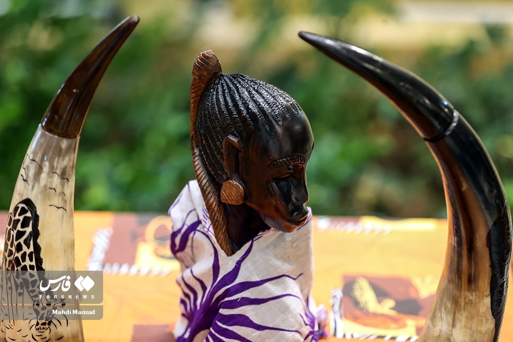 تصاویر: روز آفریقا