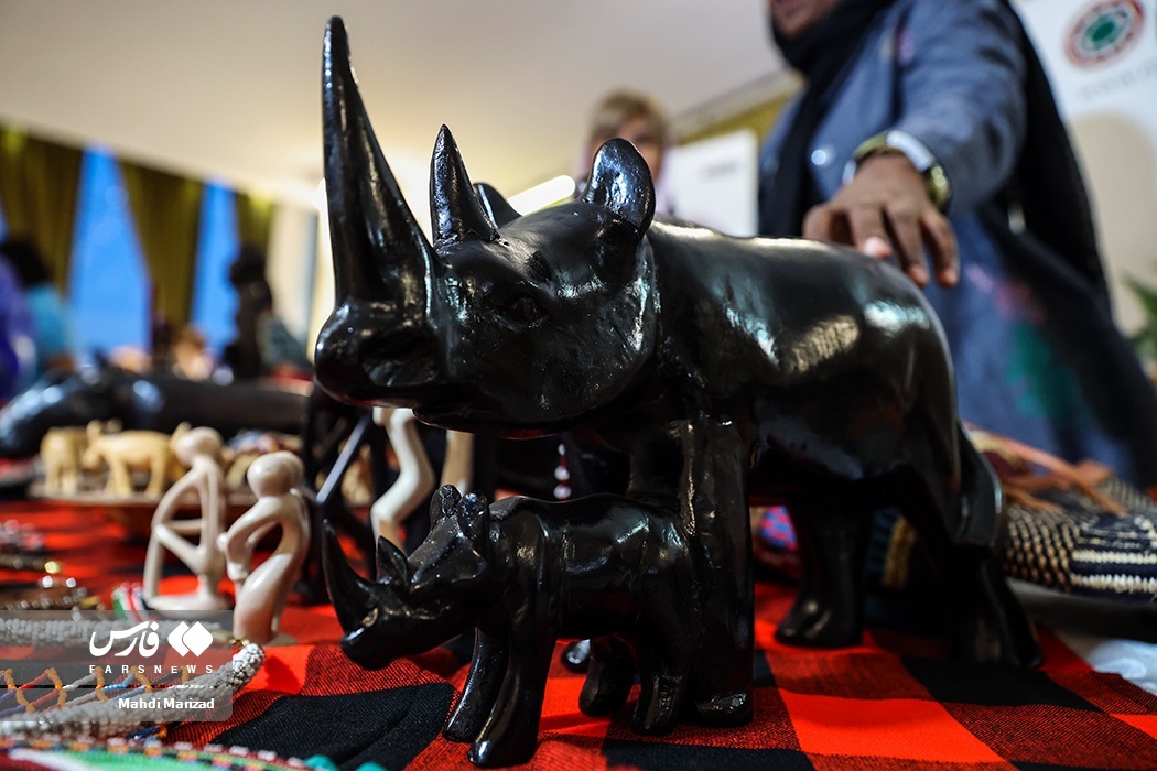 تصاویر: روز آفریقا