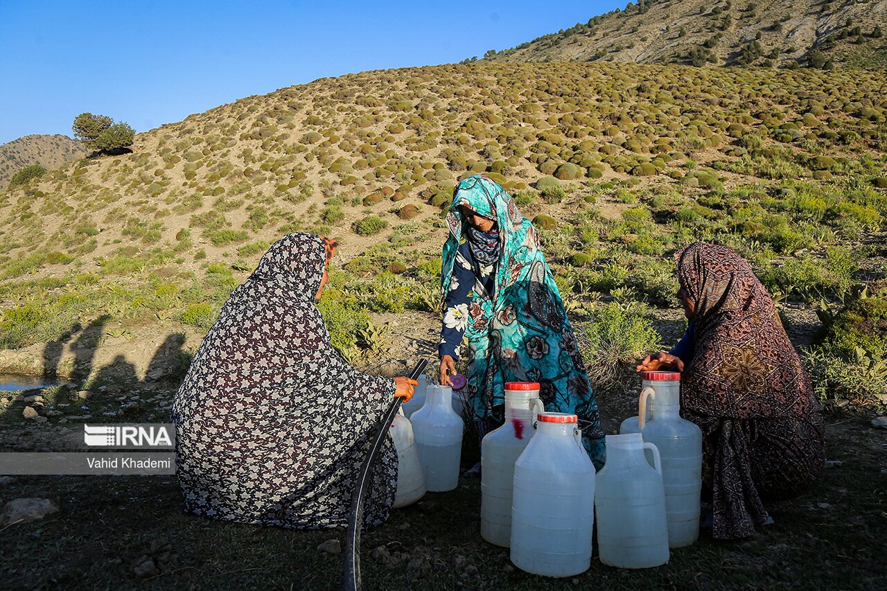 تصاویر: عشایر کُرمانج