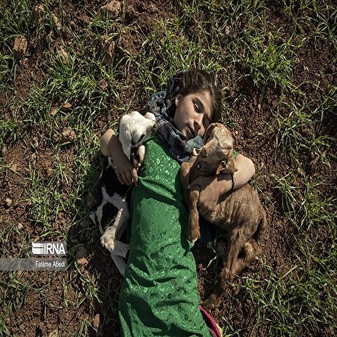 تصاویر: مهرنوش در سرزمین عجایب