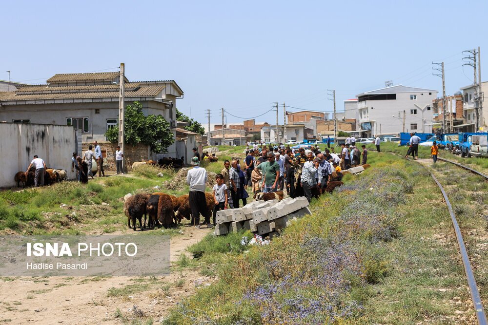 تصاویر: حال و هوای بندرترکمن در آستانه عید قربان