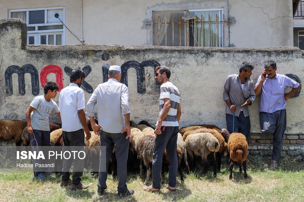 تصاویر: حال و هوای بندرترکمن در آستانه عید قربان