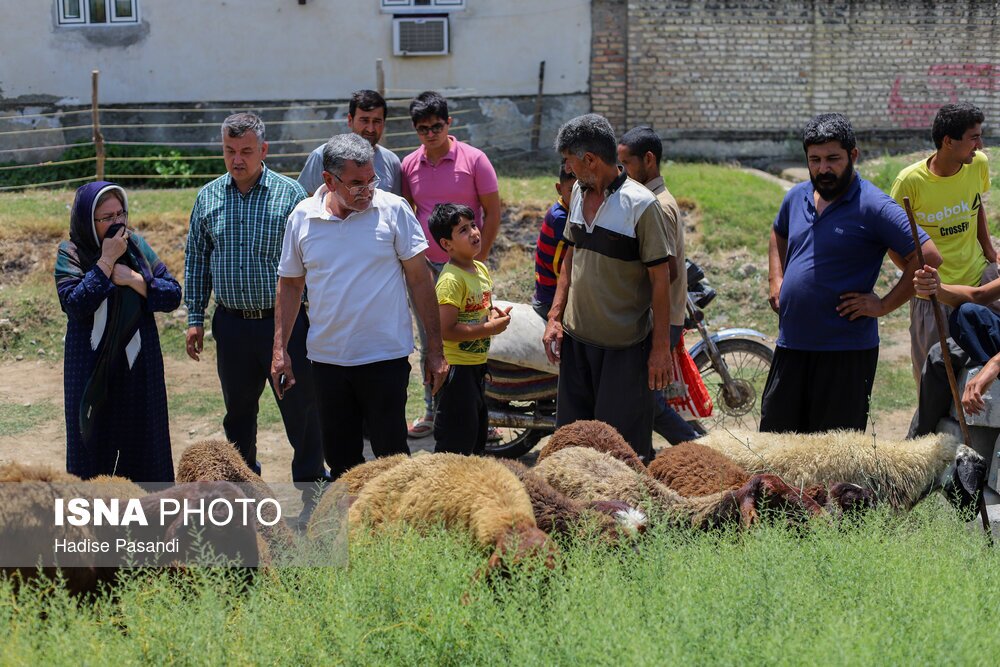 تصاویر: حال و هوای بندرترکمن در آستانه عید قربان