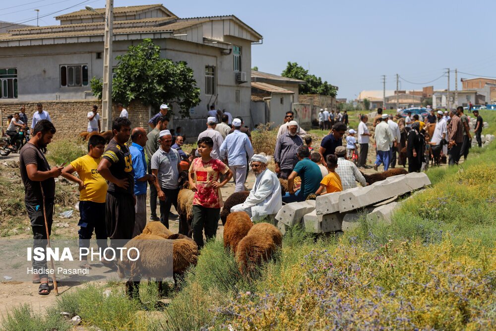 تصاویر: حال و هوای بندرترکمن در آستانه عید قربان