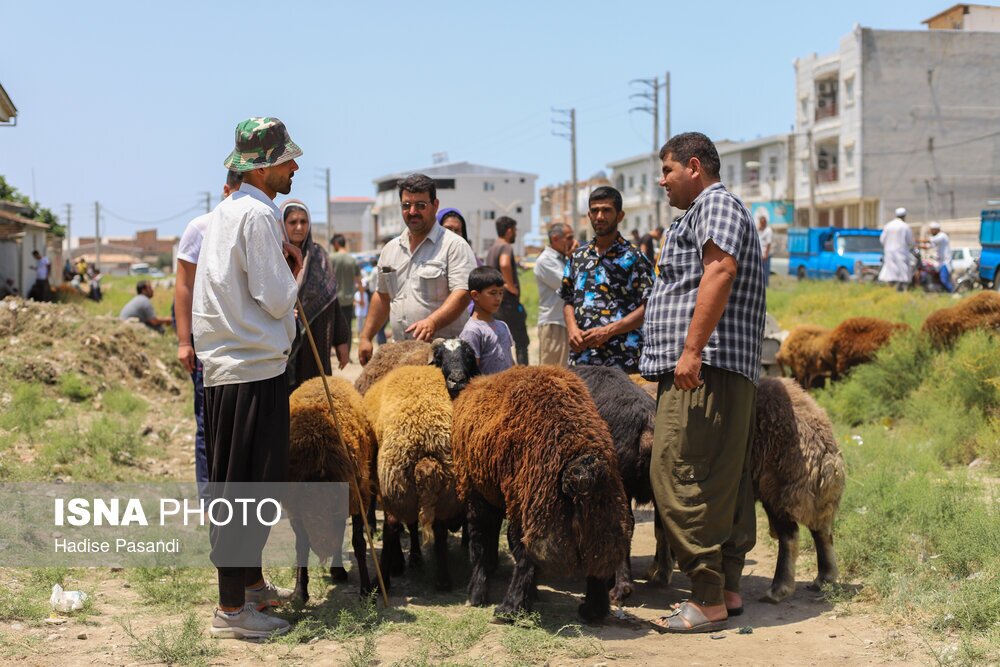 تصاویر: حال و هوای بندرترکمن در آستانه عید قربان