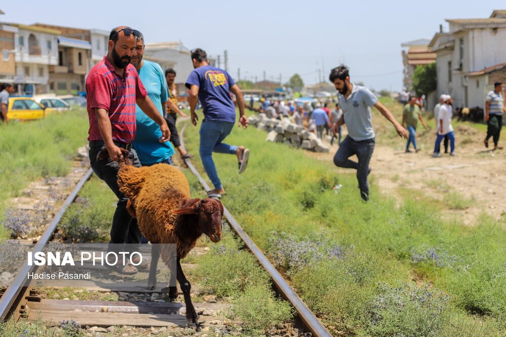 تصاویر: حال و هوای بندرترکمن در آستانه عید قربان
