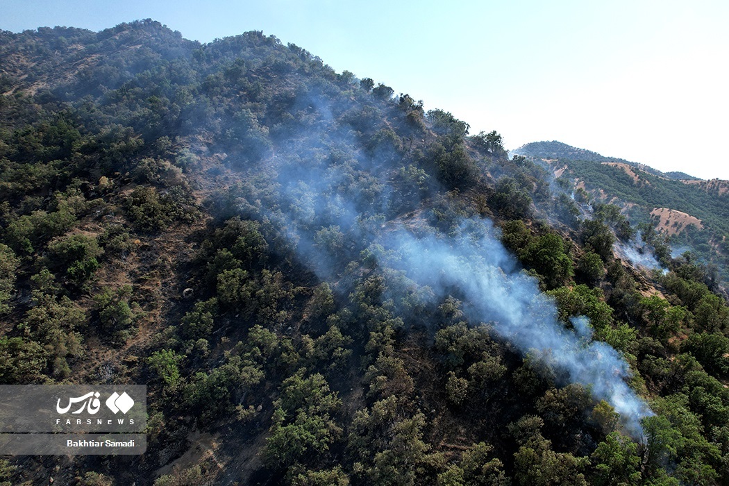 تصاویر: آتش به جانِ «جنگل‌های مریوان»