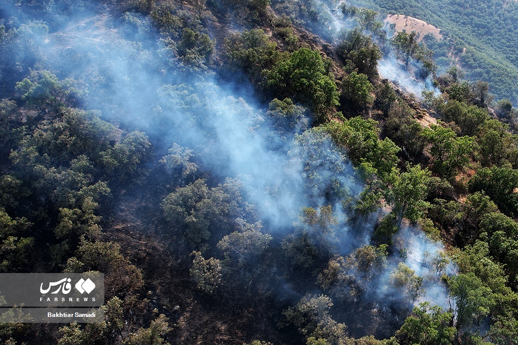 تصاویر: آتش به جانِ «جنگل‌های مریوان»