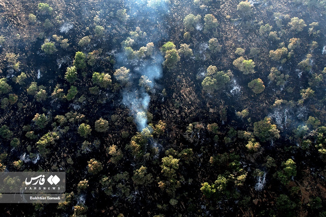 تصاویر: آتش به جانِ «جنگل‌های مریوان»