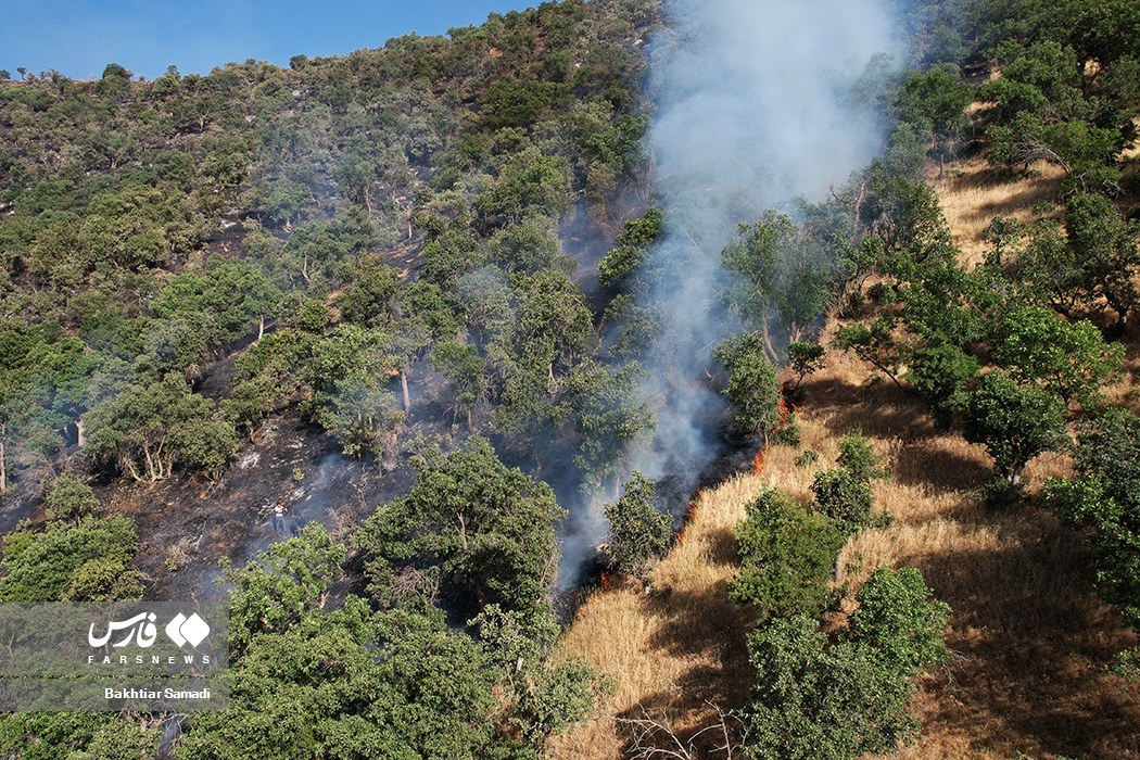 تصاویر: آتش به جانِ «جنگل‌های مریوان»