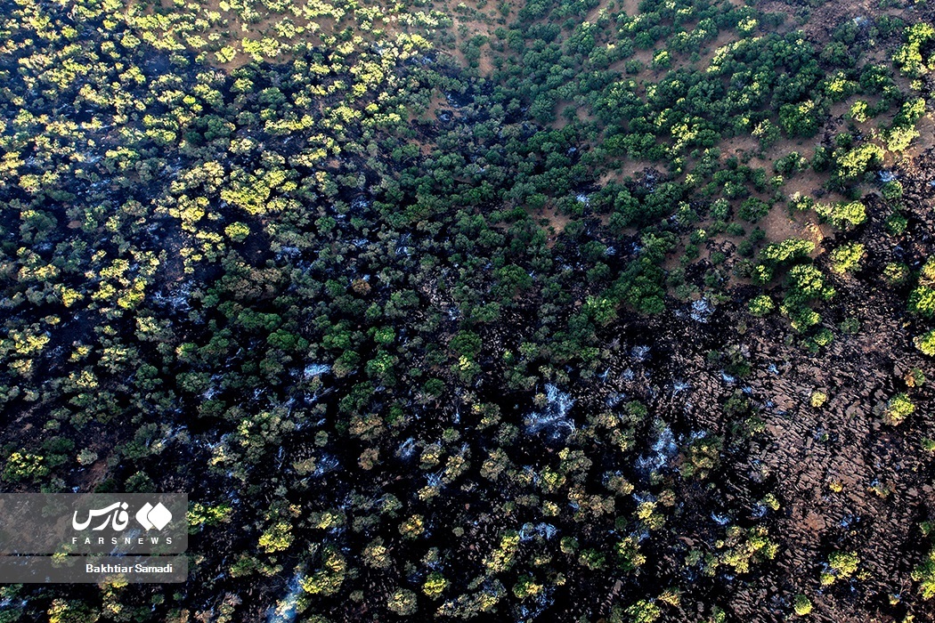 تصاویر: آتش به جانِ «جنگل‌های مریوان»