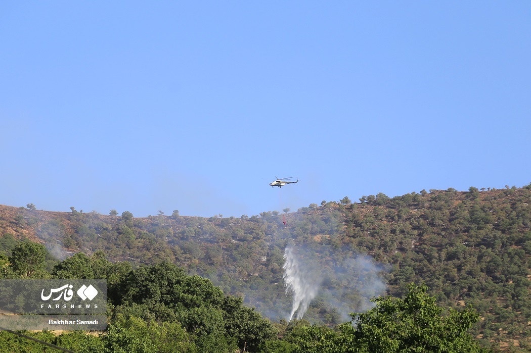 تصاویر: آتش به جانِ «جنگل‌های مریوان»