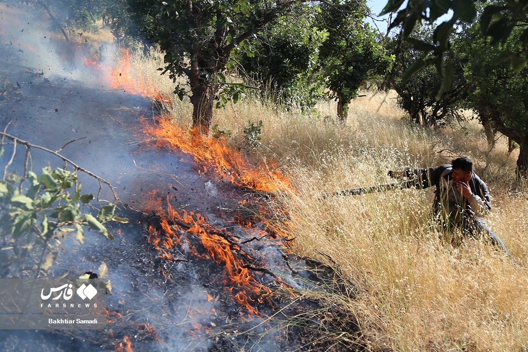 تصاویر: آتش به جانِ «جنگل‌های مریوان»