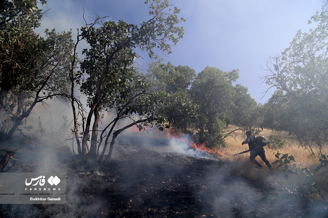 تصاویر: آتش به جانِ «جنگل‌های مریوان»