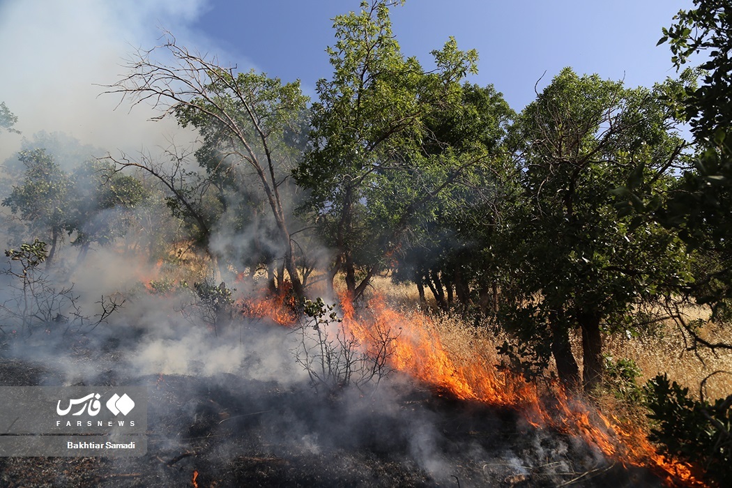 تصاویر: آتش به جانِ «جنگل‌های مریوان»