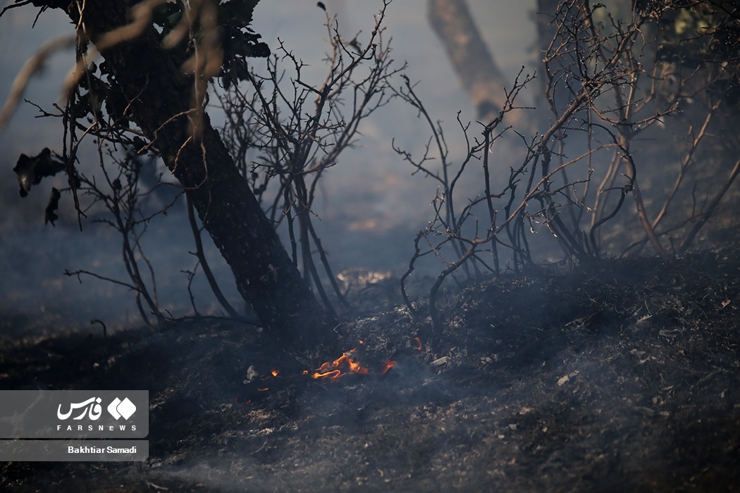 تصاویر: آتش به جانِ «جنگل‌های مریوان»