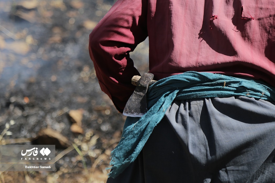 تصاویر: آتش به جانِ «جنگل‌های مریوان»