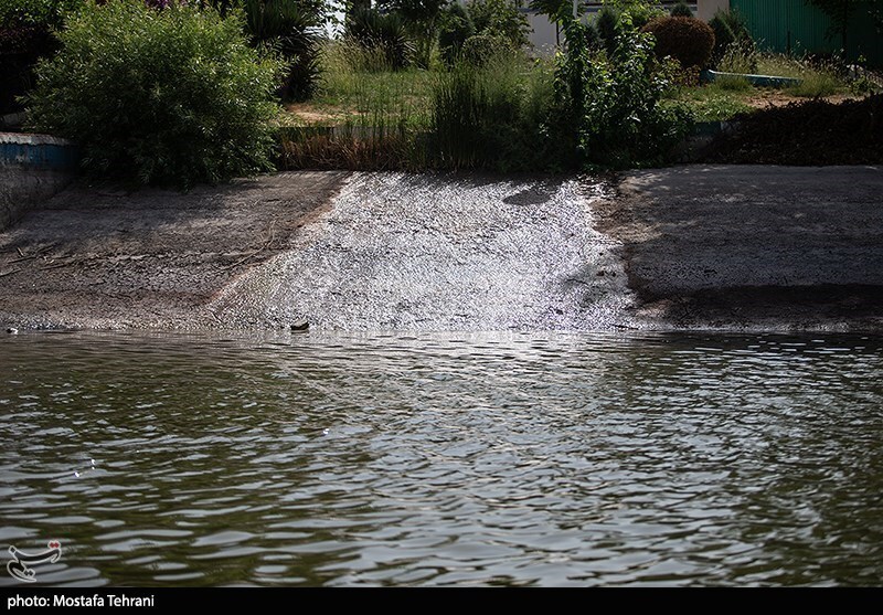 تصاویر: حال و روز دریاچه آزادی در روز‌های گرم تابستان