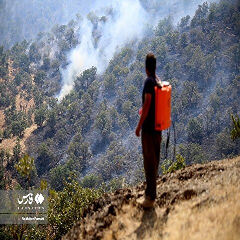 تصاویر:  تلاش نیروهای مردمی و نظامی برای اطفا حریق جنگلهای مریوان