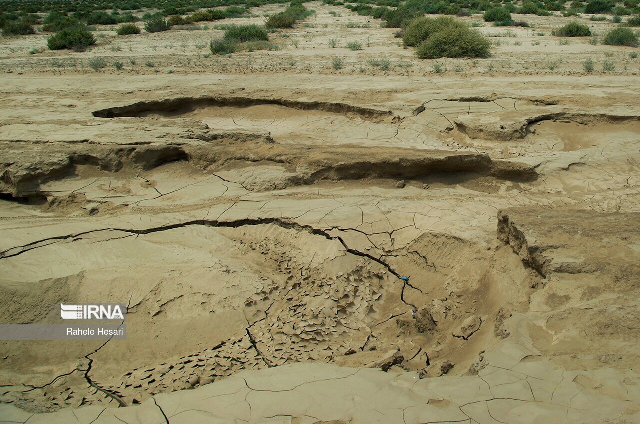 تصاویر: بیابان در کمین گلستان سبز