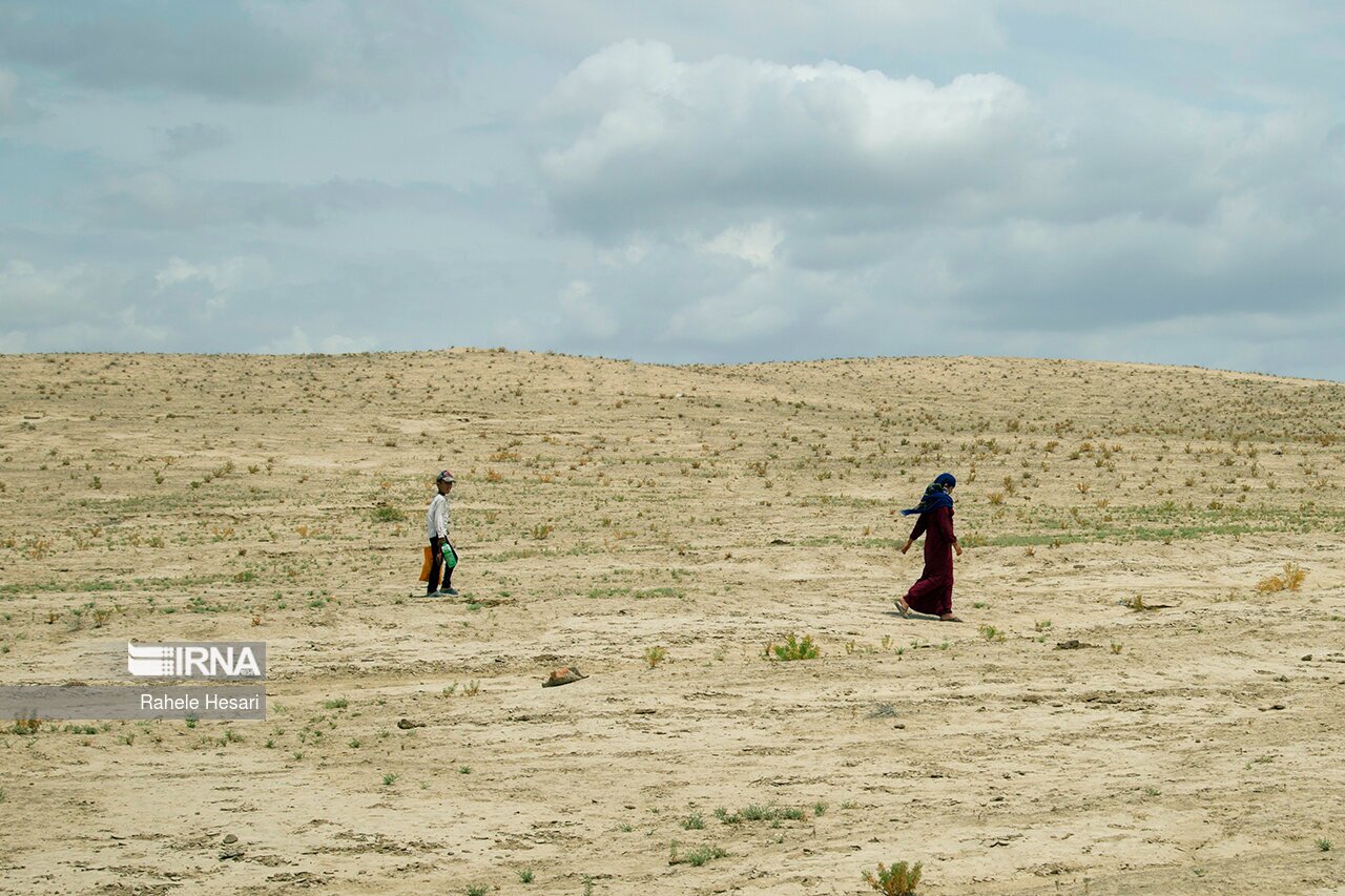 تصاویر: بیابان در کمین گلستان سبز