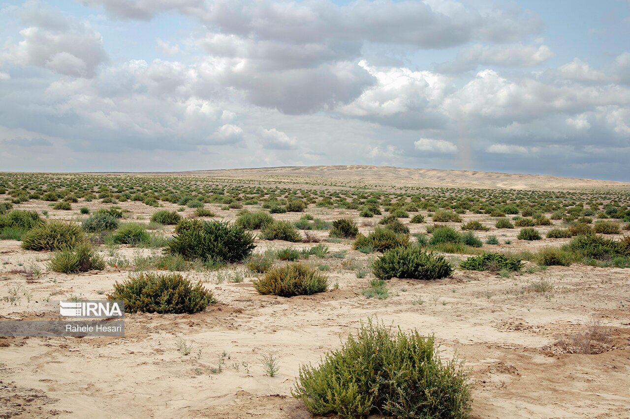 تصاویر: بیابان در کمین گلستان سبز