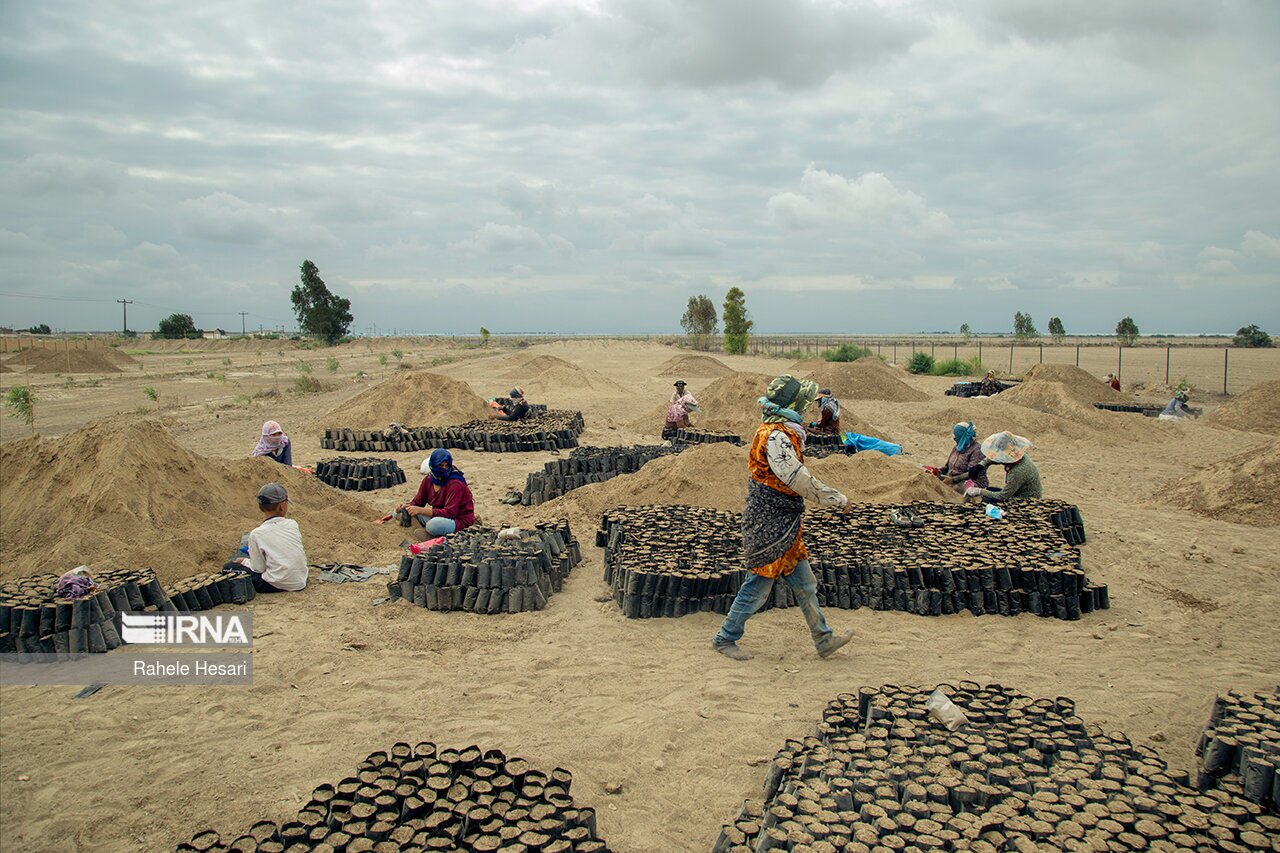 تصاویر: بیابان در کمین گلستان سبز