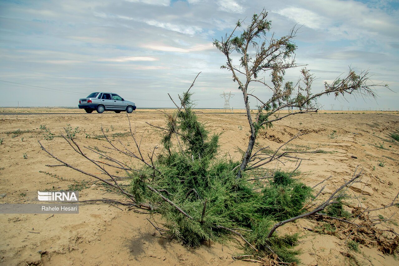 تصاویر: بیابان در کمین گلستان سبز