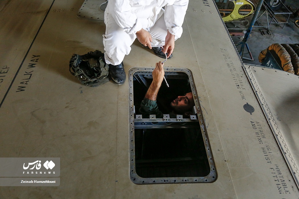 تصاویر: کوتاه قامتان بلند پرواز