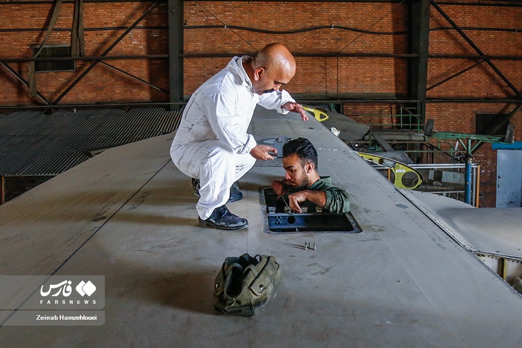 تصاویر: کوتاه قامتان بلند پرواز