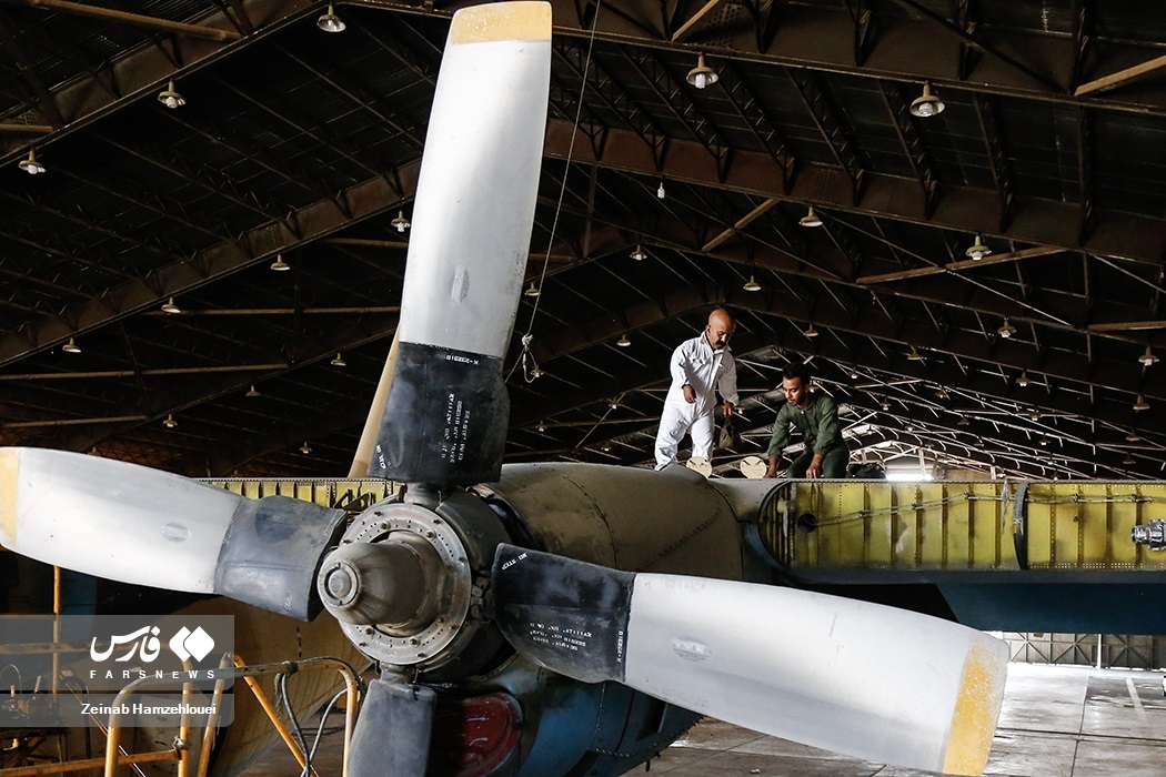 تصاویر: کوتاه قامتان بلند پرواز