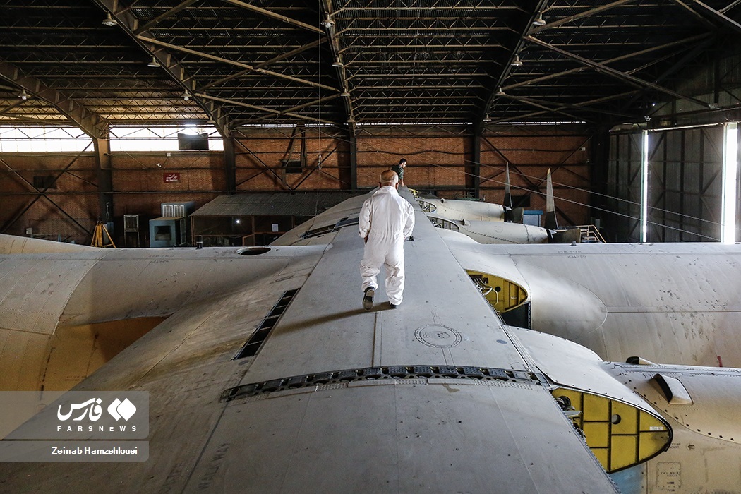 تصاویر: کوتاه قامتان بلند پرواز